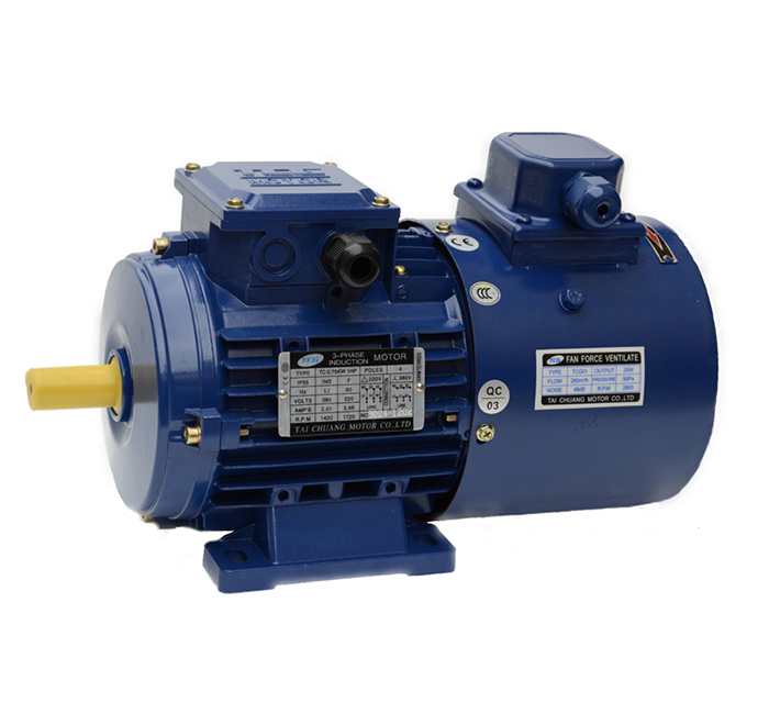 臥式變頻電機(jī)